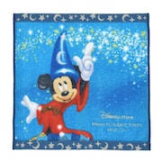 ミニタオル(700円)