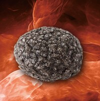 boulangerie Bonheur「G細胞パン（ゴジラ細胞パン）」（税込346円）