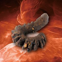 boulangerie Bonheur「ゴジラのしっぽ」（税込368円）