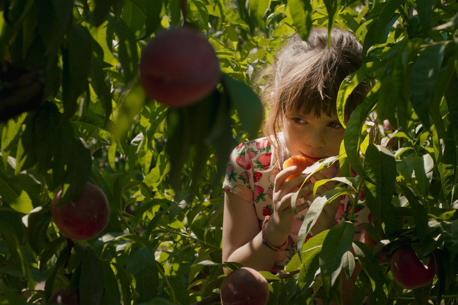 「太陽と桃の歌」場面写真