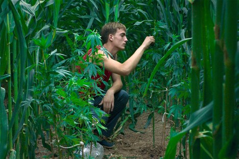 「太陽と桃の歌」場面写真