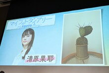 “心の居場所”をテーマに清原果耶が選んだ写真