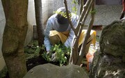 「うどを植える」場面写真