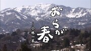 「おらが春～小林一茶～」ビジュアル