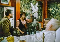 「ロトナ」場面写真 (c)WFDiF