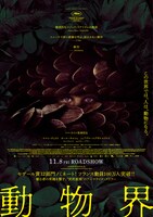 「動物界」アザーポスタービジュアル