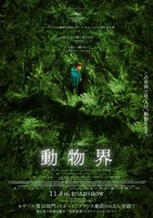 「動物界」アザーポスタービジュアル