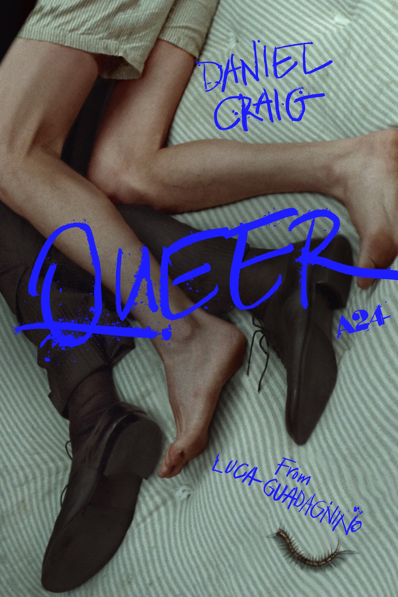映画「Queer（原題）」ポスタービジュアル