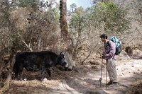 「Midnight Pizza Club 1st BLAZE Langtang Valley」収録カットより（撮影：阿部裕介）