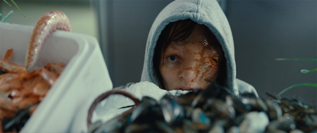 「動物界」新場面写真