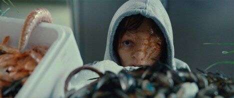 「動物界」新場面写真