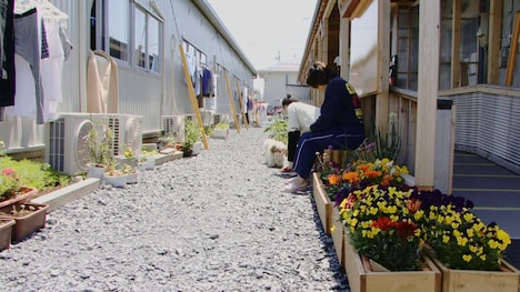 「風に立つ愛子さん」場面写真