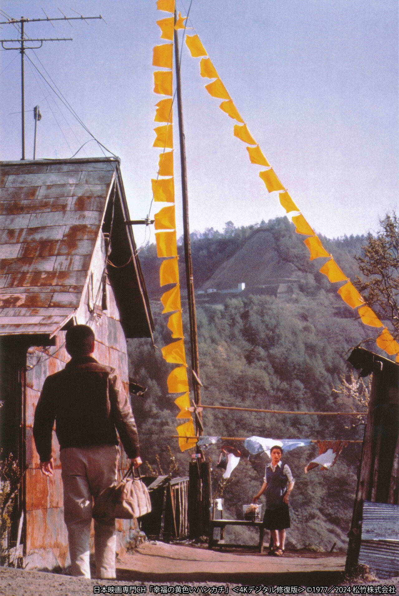「幸福の黄色いハンカチ＜4Kデジタル修復版＞」場面写真