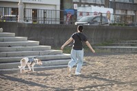 静岡・伊東の砂浜を散歩する梅澤舞佳と愛犬・金星くん