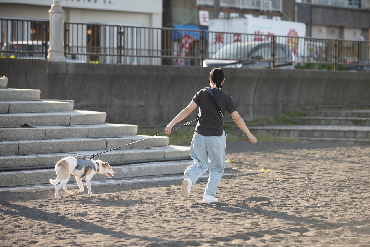 静岡・伊東の砂浜を散歩する梅澤舞佳と愛犬・金星くん