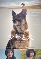 映画「少年と犬」ビジュアル