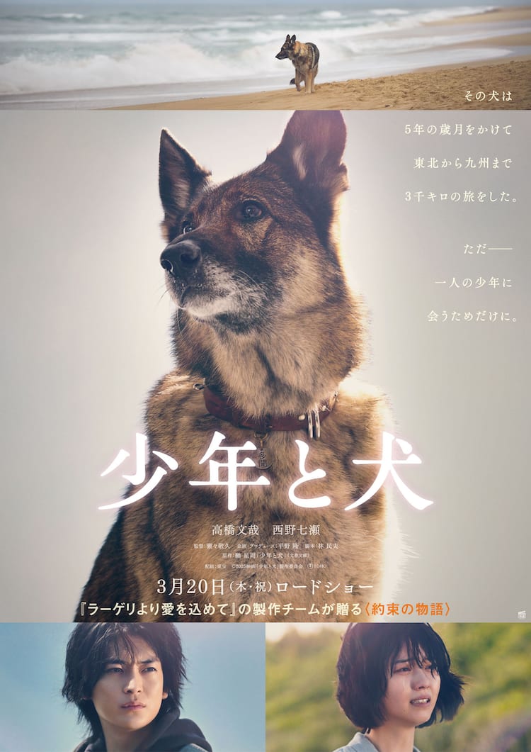 少年 と 犬