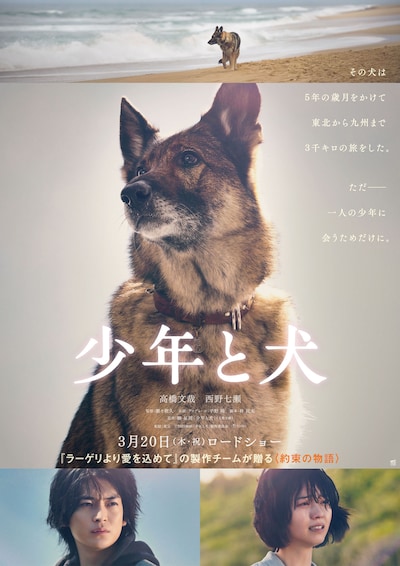 映画「少年と犬」ビジュアル