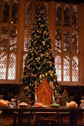 「ホグワーツ・イン・ザ・スノー」より、大広間に設置されたツリー