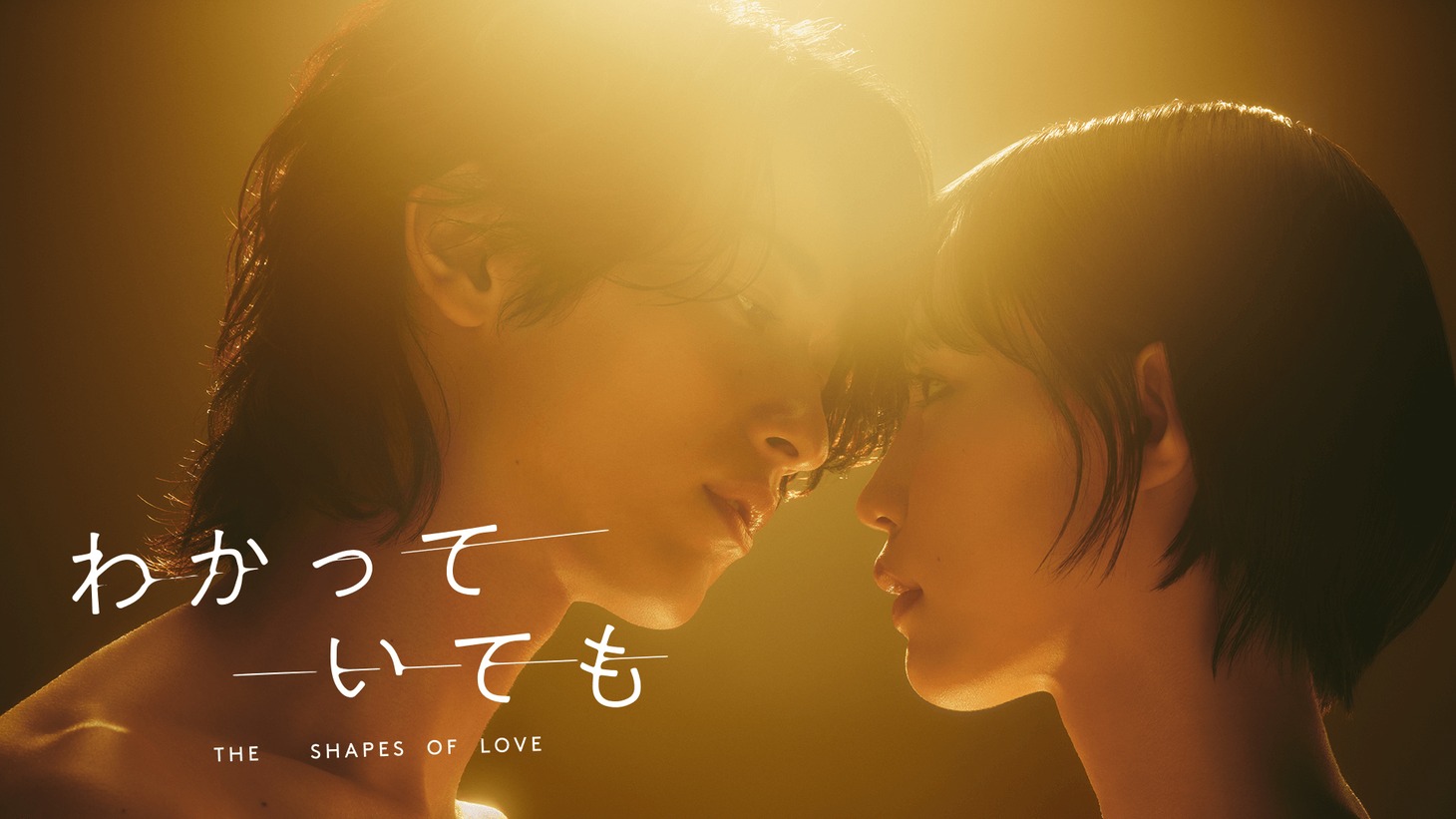 「わかっていても the shapes of love」キービジュアル