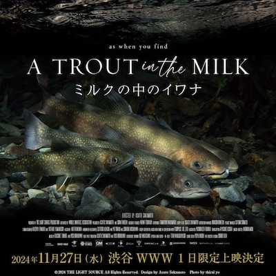 「ミルクの中のイワナ」ビジュアル