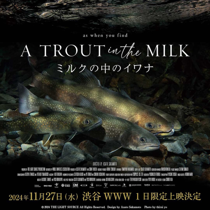 「ミルクの中のイワナ」ビジュアル