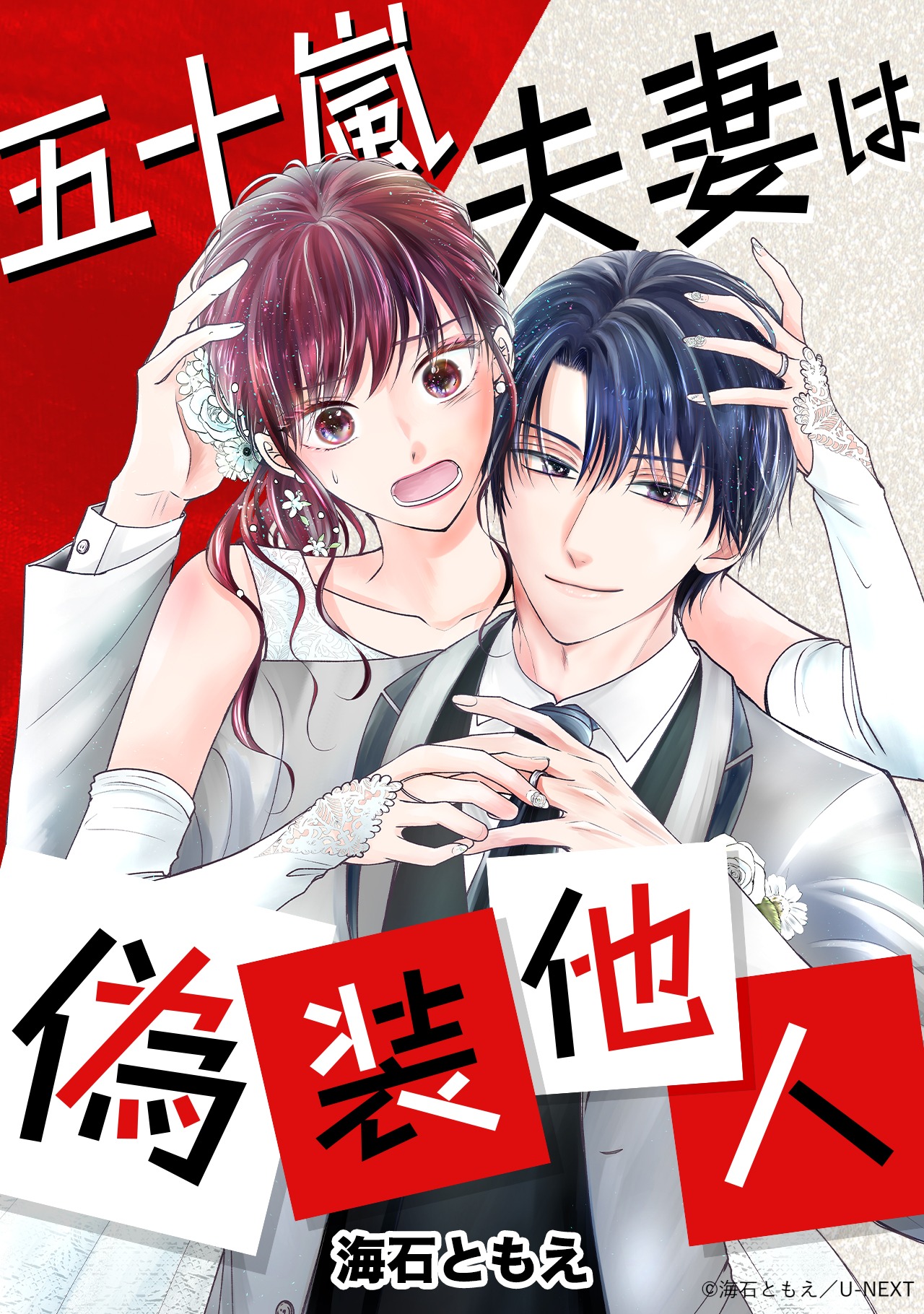 原作「五十嵐夫妻は偽装他人」書影 (c)海石ともえ／U-NEXT