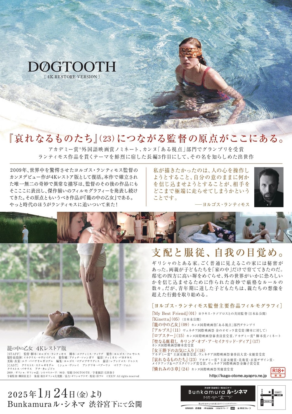 「籠の中の乙女 4Kレストア版」チラシビジュアル 裏面