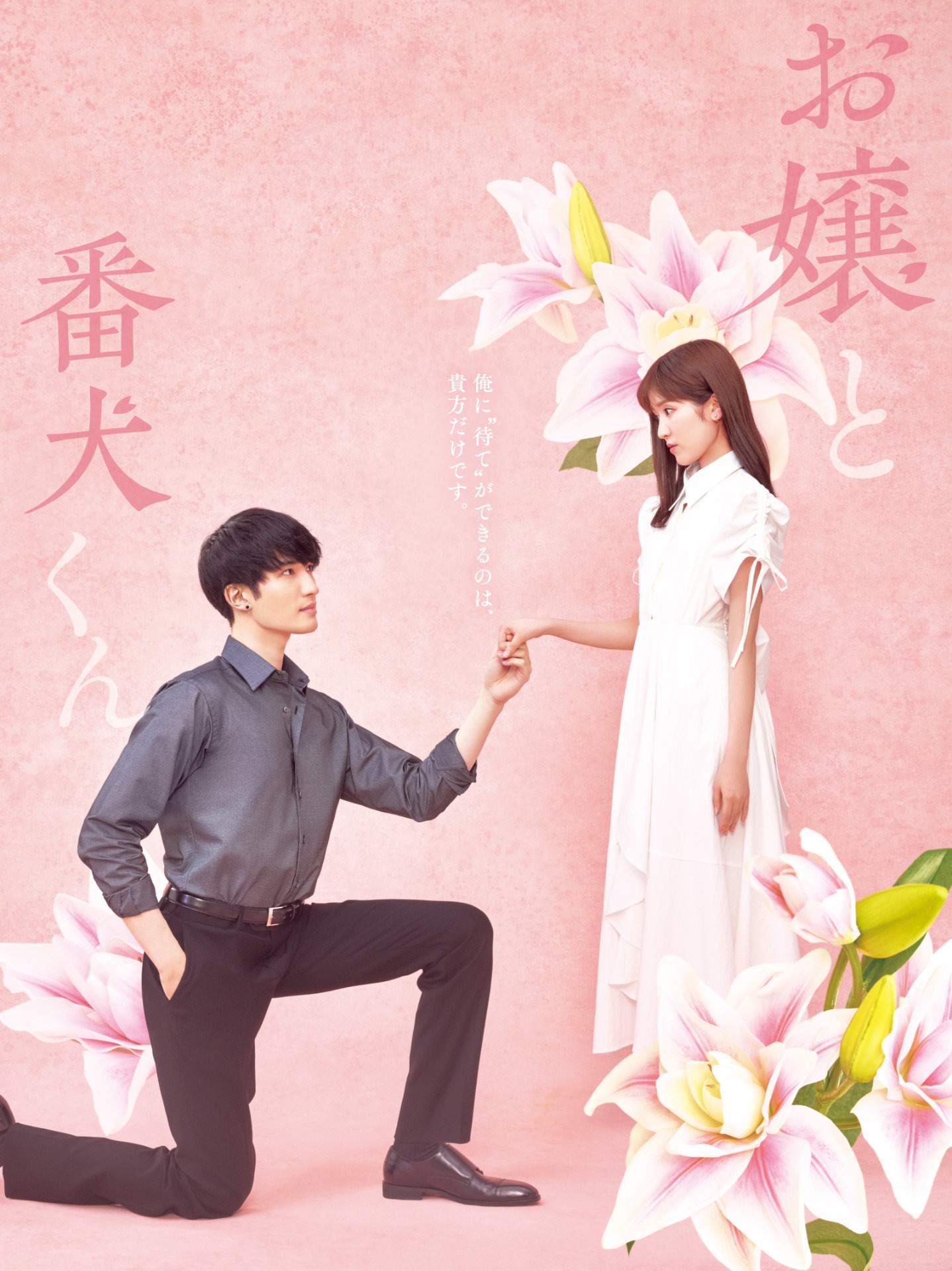 「お嬢と番犬くん」チラシビジュアル