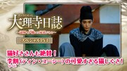 中国ドラマ「大理寺日誌～謎解く少卿には秘密がある～」スペシャルPVのサムネイル