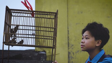 「自由を求めて」場面写真