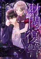 「財閥復讐～兄嫁になった元嫁へ～」原作書影