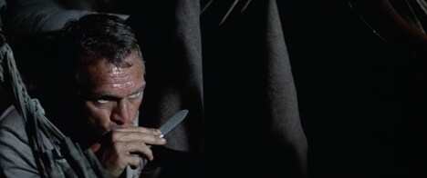 「パピヨン」場面写真