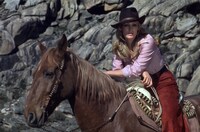 「レッド・サン 4Kデジタルリマスター版」場面写真