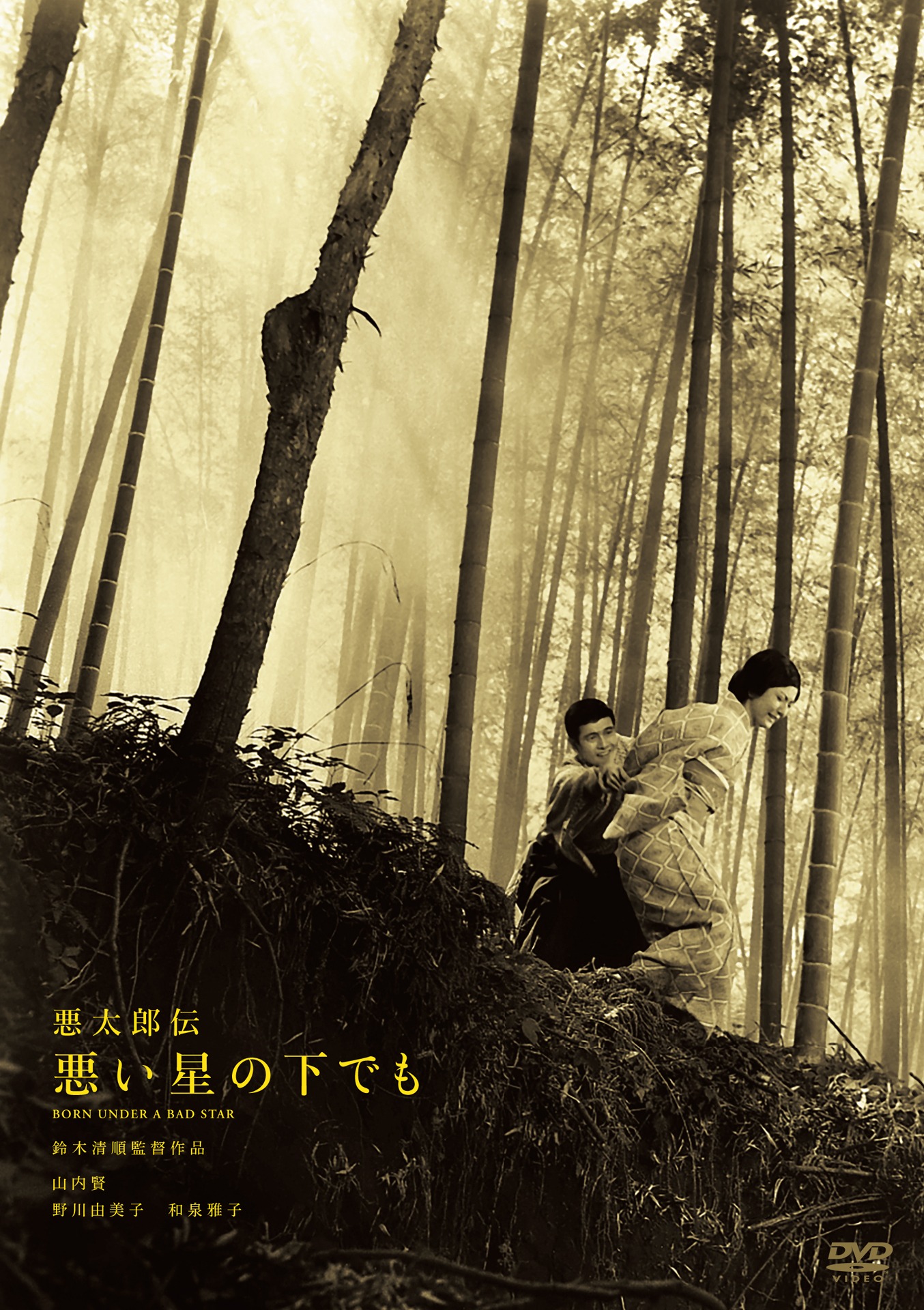 「悪太郎伝 悪い星の下でも」DVDジャケット (c)1965 日活株式会社