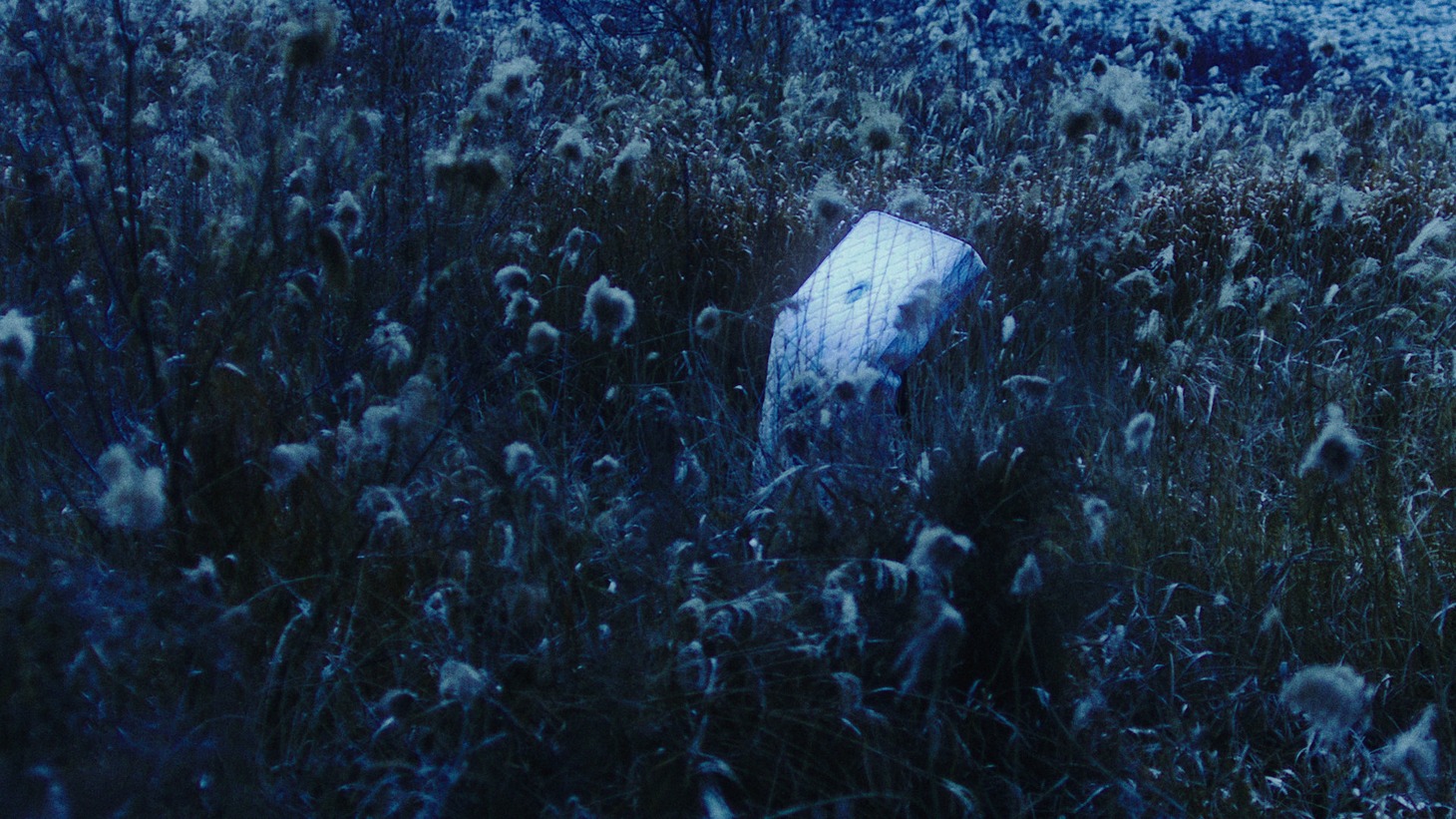 「第五胸椎」場面写真