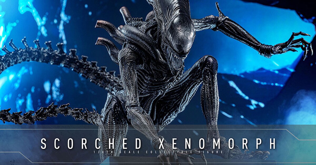 xenomorph_20241206_01.jpg? 