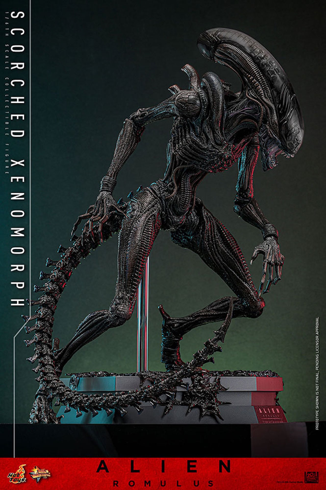 xenomorph_20241206_03.jpg?