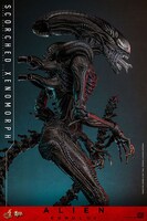 【ムービー・マスターピース DX】「エイリアン：ロムルス」1/6スケールフィギュア スコーチド・ゼノモーフ