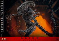 【ムービー・マスターピース DX】「エイリアン：ロムルス」1/6スケールフィギュア スコーチド・ゼノモーフ
