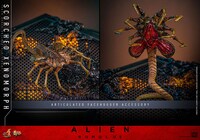 【ムービー・マスターピース DX】「エイリアン：ロムルス」1/6スケールフィギュア スコーチド・ゼノモーフに付属するフェイスハガー