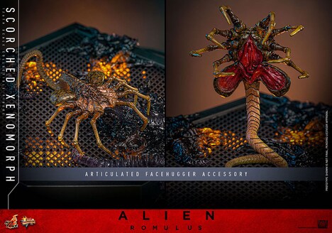 【ムービー・マスターピース DX】「エイリアン:ロムルス」1/6スケールフィギュア スコーチド・ゼノモーフに付属するフェイスハガー