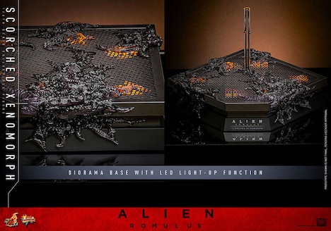 【ムービー・マスターピース DX】「エイリアン:ロムルス」1/6スケールフィギュア スコーチド・ゼノモーフに付属する台座