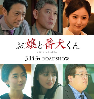 「お嬢と番犬くん」のキャスト。上段左から飯田基祐、杉本哲太、佐々木希。下段左から松井遥南、香音、春とヒコーキぐんぴぃ