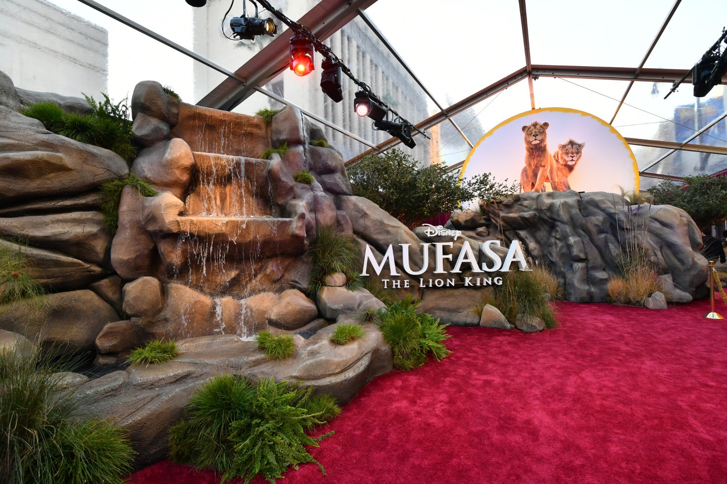 「ライオン・キング：ムファサ」ワールドプレミアの会場 (c) 2024 Getty Images Getty Images for Disney