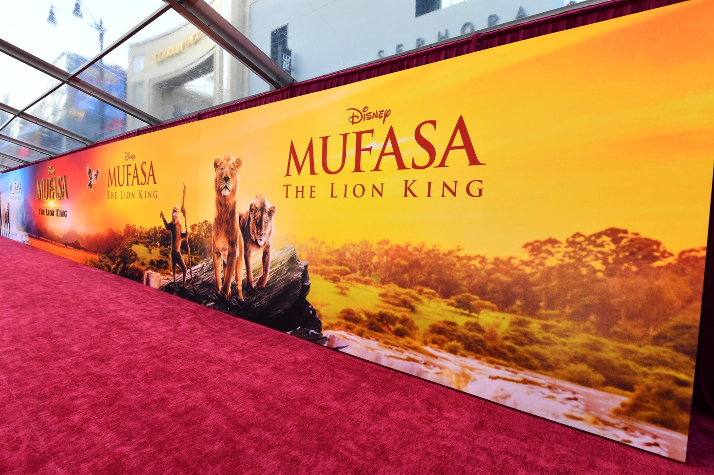 「ライオン・キング：ムファサ」ワールドプレミアの会場 (c) 2024 Getty Images Getty Images for Disney
