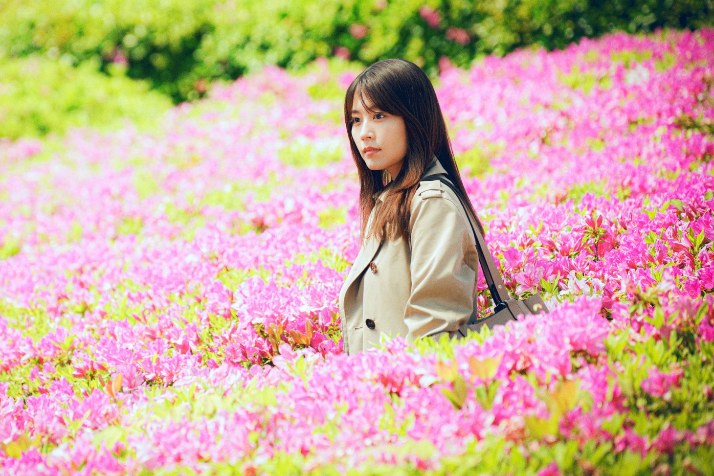 「花まんま」場面写真