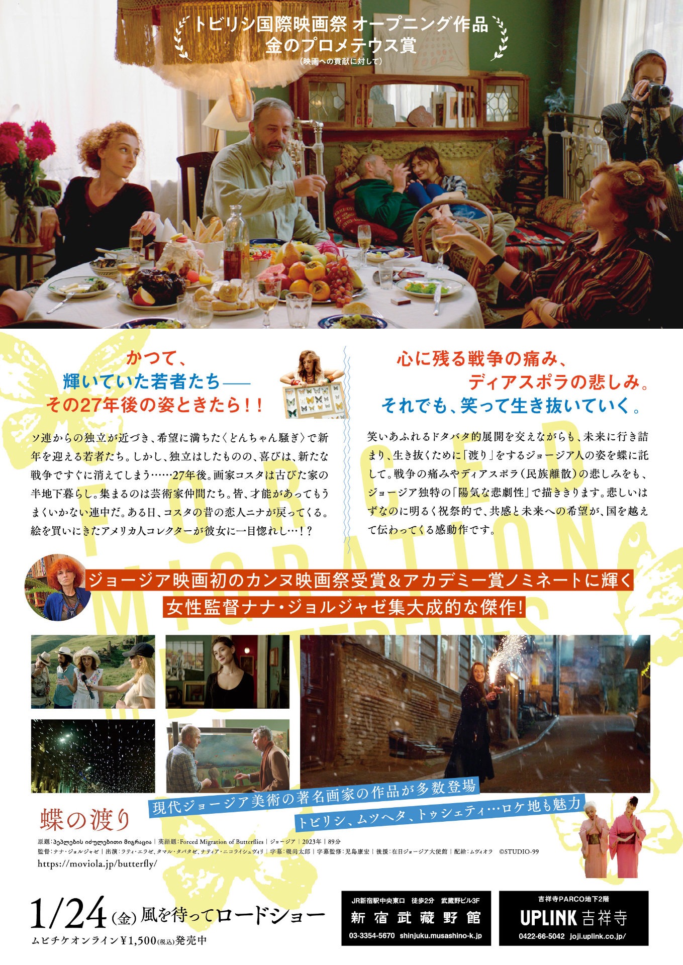 「蝶の渡り」チラシ裏ビジュアル