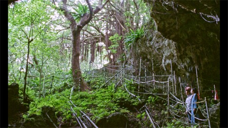 「Underground アンダーグラウンド」場面写真