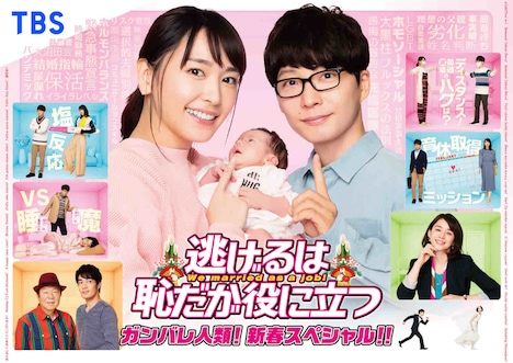 「逃げるは恥だが役に立つ ガンバレ人類！新春スペシャル!!」ビジュアル